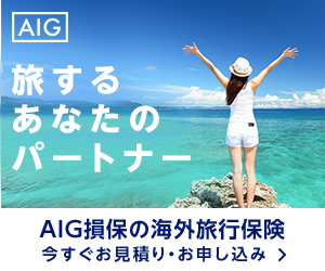 海外旅行保険はAIG損保